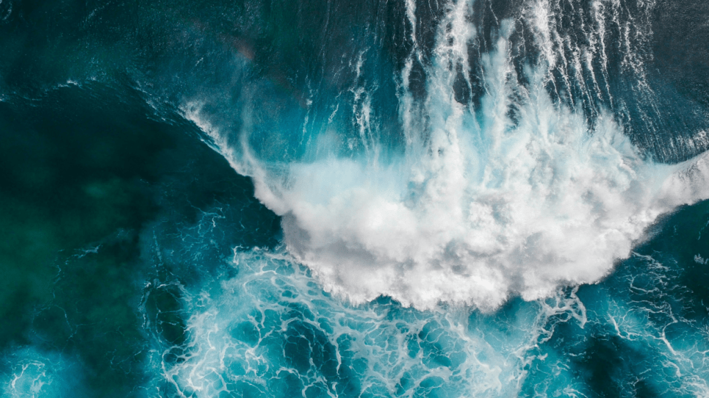 The “Demure” Tidal Wave: Exploring a Viral Trend Through Fluid&nbsp;Dynamics