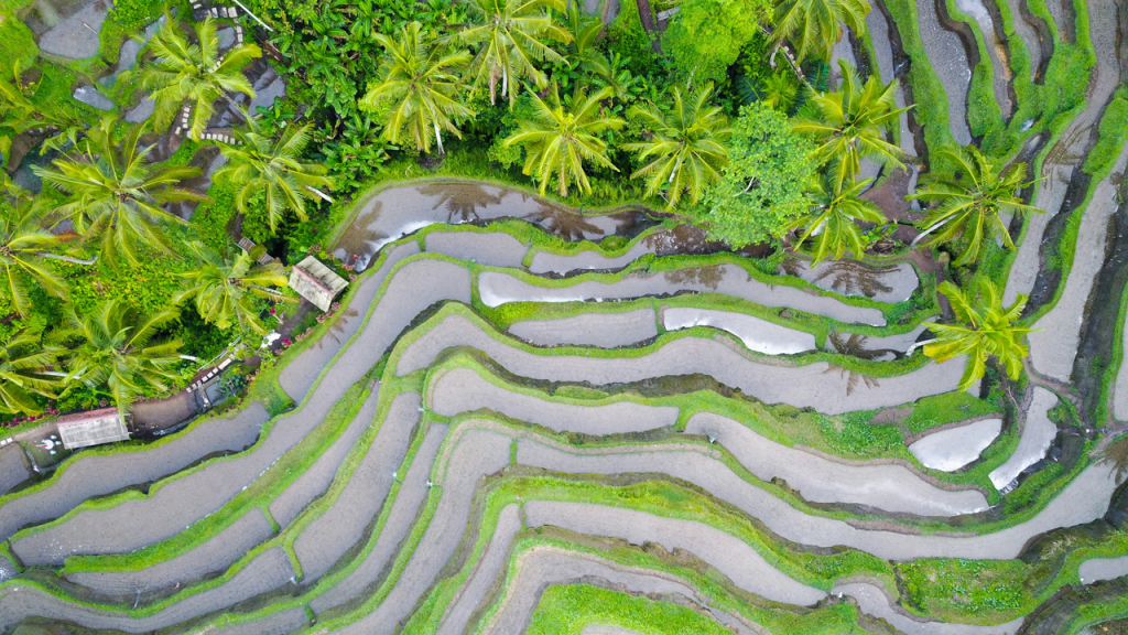 The Ripple Effect: How Tourism Flows Like&nbsp;Water