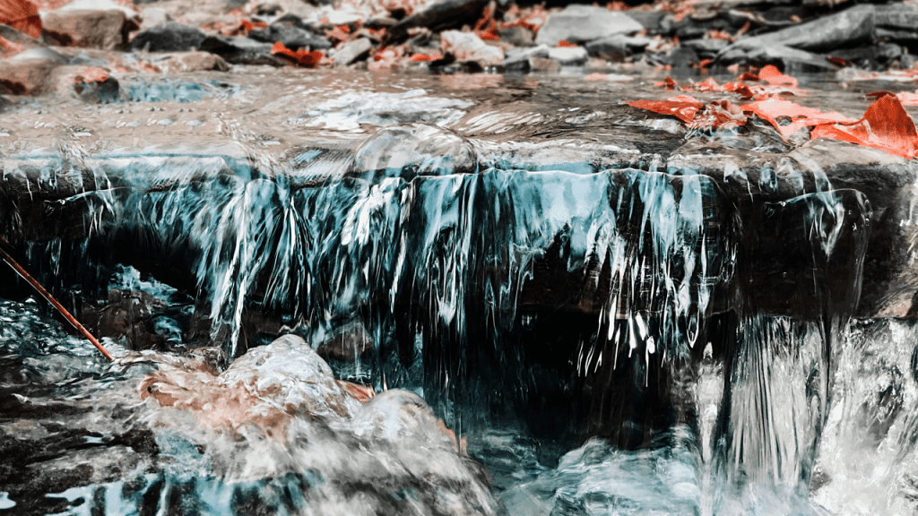 Nose Jobs of the Future: From Rockets to Beaks – How the Perfect Profile Takes&nbsp;Shape