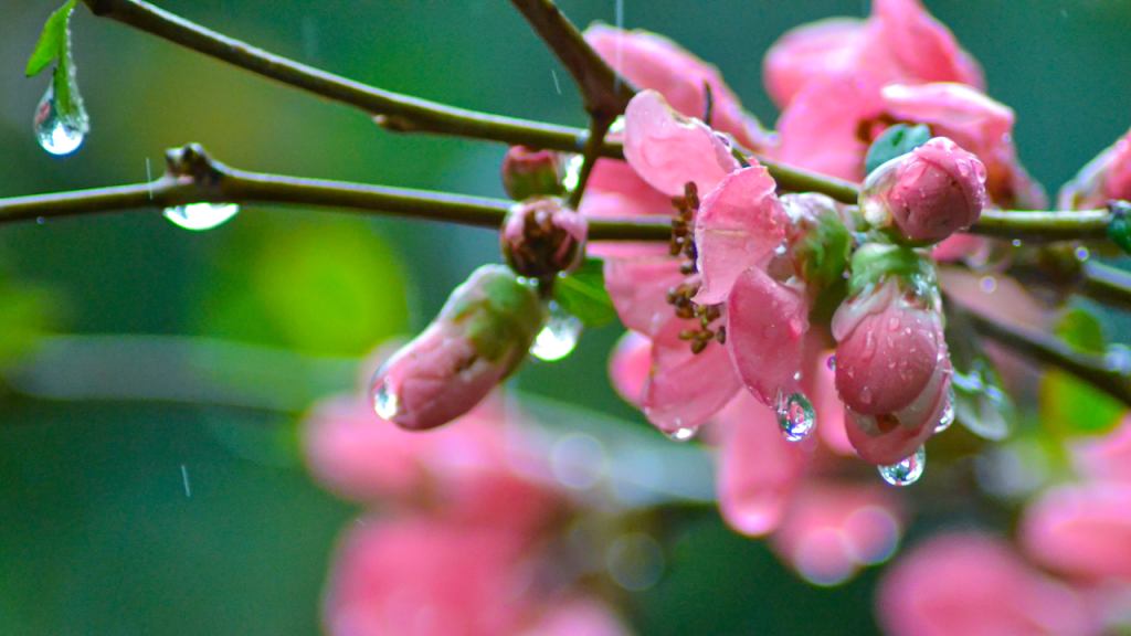 The Flow of Tradition and Change: Balance, Influence, and Power in 1600s&nbsp;Japan