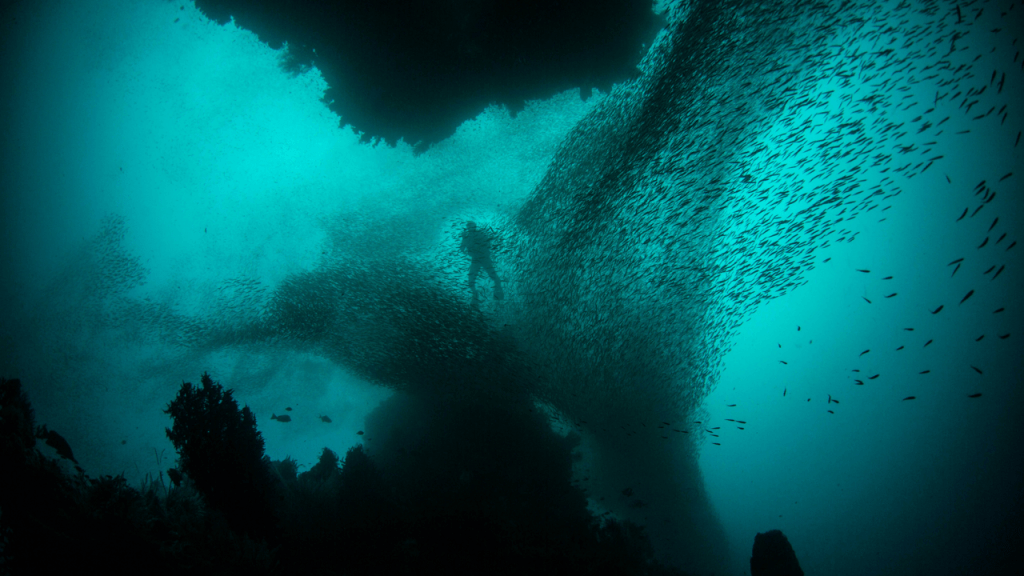 Whispers from the Abyss (Spooky Ocean Tale&nbsp;Series)