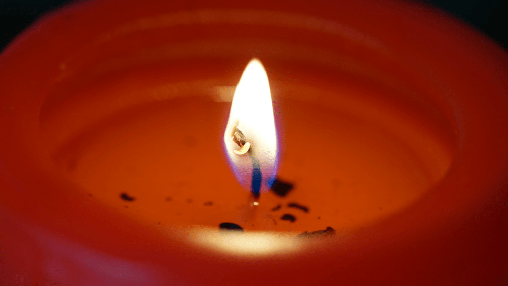 Dancing Cells: Choreography in a Heating&nbsp;Pot