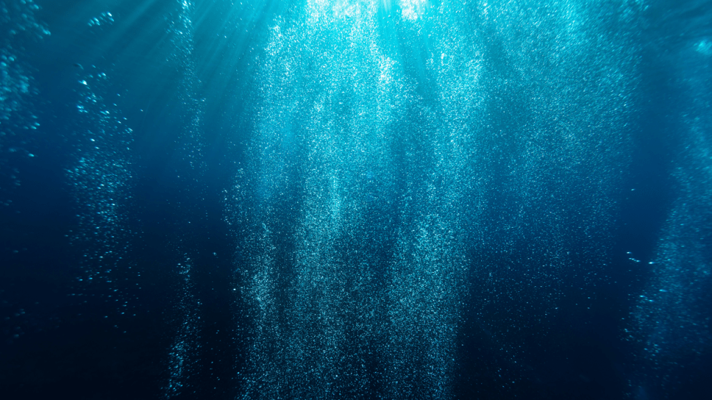 Bubbles Gone Wild: The Mischief of&nbsp;Cavitation