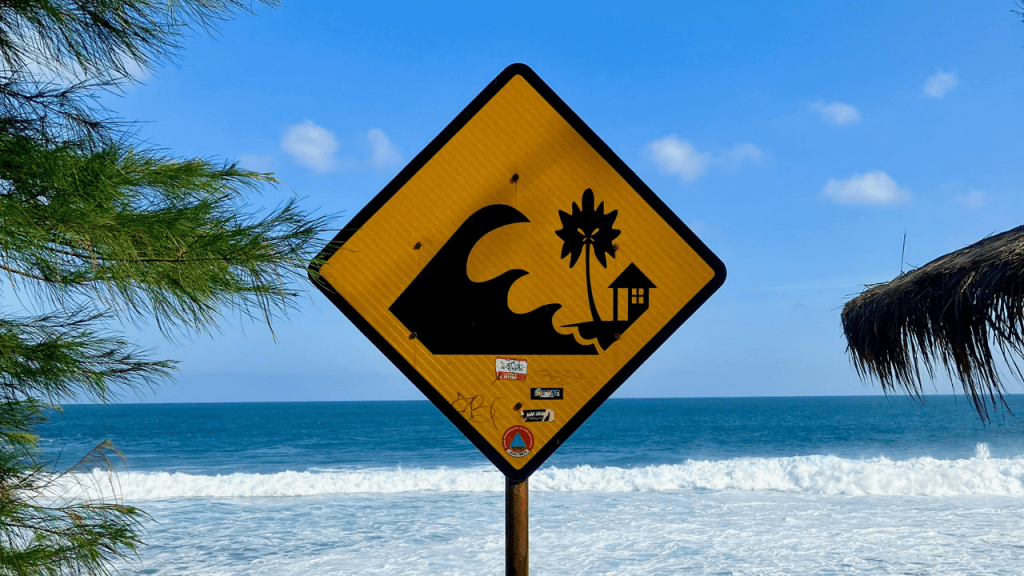 The 2004 Tsunami’s Legacy: Riding Waves of&nbsp;Resilience