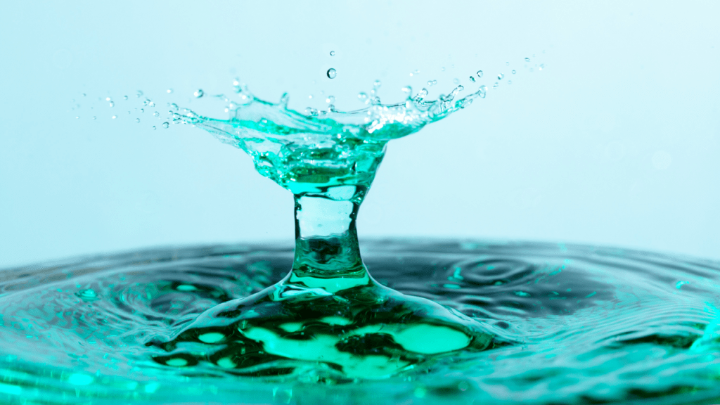 Currents of Wonder: Where STEM Meets the Pulse of&nbsp;Possibility